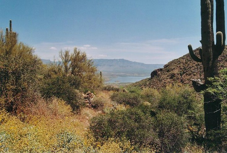 Tonto NM